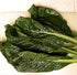 Komatsuna Oriental Mustard Spinach Taste(100 -stir-Fried, Pickled, Boiled-Great - Seeds)