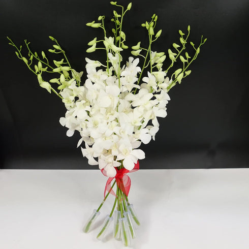 10 Athenas Garden Fresh Cut Orchids Stems Dendrobium White Orchids Fresh Flowers