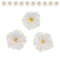 Global Sugar Art Azalea 1.75 Inch Sugar Cake Flowers White with Wire