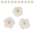 Global Sugar Art Azalea 1.75 Inch Sugar Cake Flowers White with Wire