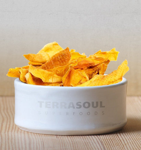 16 Oz Terrasoul Superfoods Organic Dried Mango Slices, - Naturally Sweet & Tart | No-Added Sugar | Healthy Prebiotic
