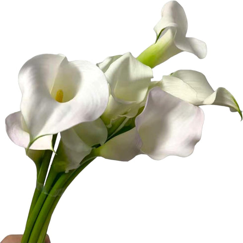 10 White Calla Lilies Fresh Cut Flower Los Angeles Flower Market Birthdays Anniversaries Friendship and Love Gifts