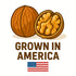 Sky Ecommerce 5lb Crazy Nuts | California Grown Whole Walnuts In Shell, | Raw Walnuts Whole Bulk, Nuts in Shells