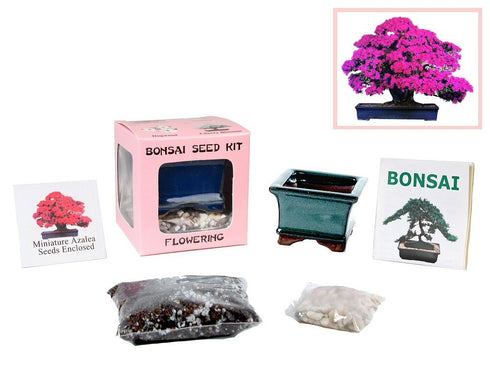 Eve's Garden, Inc Eve's Miniature Azalea Bonsai Seed Kit, Flowering, Complete Kit to Grow Azalea Bonsai from Seed