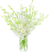 10 eflowerwholesale - Premium Cut Orchids (White stems Orchids) Gift for Graduation, Birthday, Sympathy, Anniversary