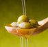 16.9 OZ 500 ML Basilippo Extra Virgin Olive Oil Gourmet - / - Early Harvest