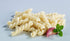 Ronzoni 16 oz Gemelli