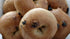 Generic 1 Dozen Authentic NYC Cinnamon Raisin Bagels
