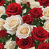 KaBloom - 6 Red and white Roses with Vase - Fresh Flowers