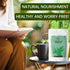 HANFANGLING Mugwort Leaf Herbal Tea - Loose Leaf Natural Mugwort Sprouts, 1.76oz