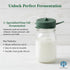 SET Original Milk Kefir Lebanese Starter COMPLETE w/ Grains - Active Probiotic Starter Cultures Easy Care Culture