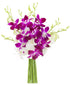 Blooms2Door 5 Count.Gift PRIME NEXT DAY DELIVERY - Mothers Day Collection - Exotic Opal Orchid, for Birthday, Thank