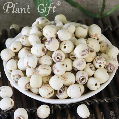 Plant Gift 100% 100G/3.25oz Pure Lotus Seed Powder Lotus Seed Flour, for Drinks, Adds Flavor and Taste Non-GMO Powder