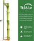 5-Pack 8 Inch Lucky Indoor Bamboo - Live Plants - Ships Bare Root - of Straight Stalks - Air Purifying Feng-Shui Zen