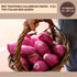 6.3 oz, ARTIGIANI DEI SAPORI - Red Tropea Calabrian Onions, Italian Sweet and Sour Red Onion, Product of Italy