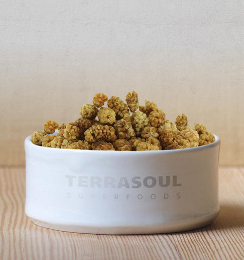 Mulberries, 2 Lbs (Pack 2), Nutrient-Packed Terrasoul Superfoods Organic Sun-dried White of Sweet Superfood Snacking