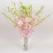 Athenas Garden Fresh Cut Peachy Pink Orchids 10 Stems Dendrobium Orchids Flowers