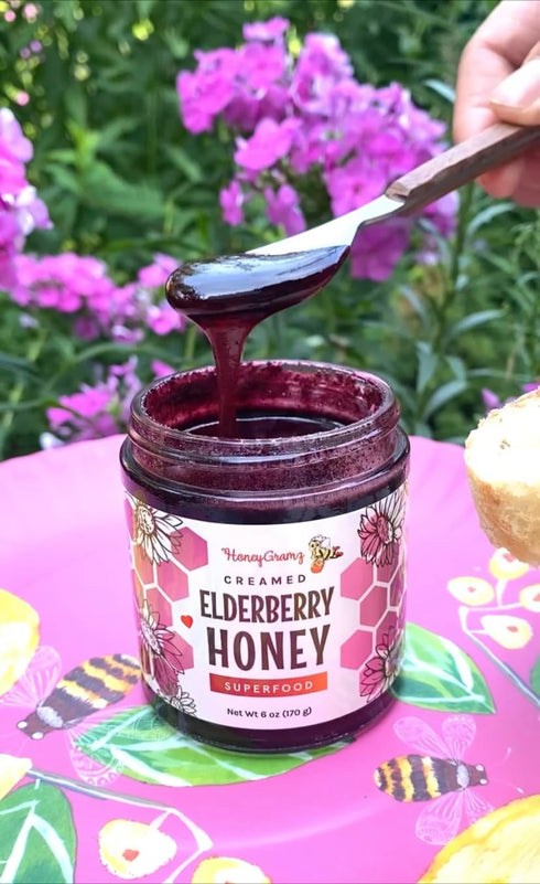 HoneyGramz 3 Pack 5.5 oz Packed Organic Elderberry Honey - Raw and Kosher Creamed Honey and Organic Elderberry in a