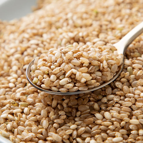Quick Cooking 2.2LBS Japanese GABA Rice Brown Rice Whole Grain Sprouted Brown Rice