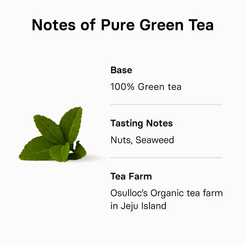 OSULLOC Pure Green Tea, USDA Organic, Premium Blended Tea from Jeju, Tea Bag Series 20 Count