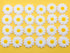 CakeSupplyShop Celebrations 24pk White Daisies Sugar Decoration Toppers for Cakes Cupcakes Cake Pops