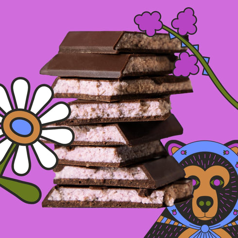 Maeve Chocolate Blackberry Truffle Bar - Indulgent Snack