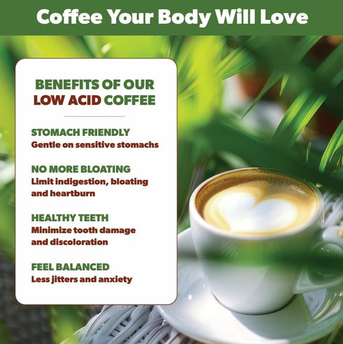 1LB Low Acid Organic Coffee Whole Bean, Mold-Free & Stomach Friendly by Java Planet, Sumatran Single Origin Coffee
