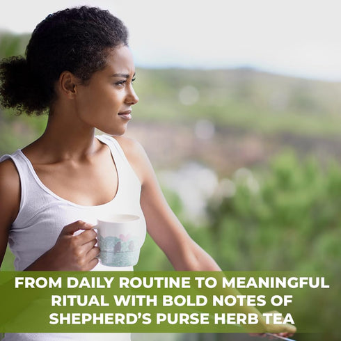 1.8 oz. 50g Shepherds Purse Herb Bulk Herbal Tea Shepard Purse Herb (Capsella Bursa-Pastoris) - Tea Bolsa De Pastor