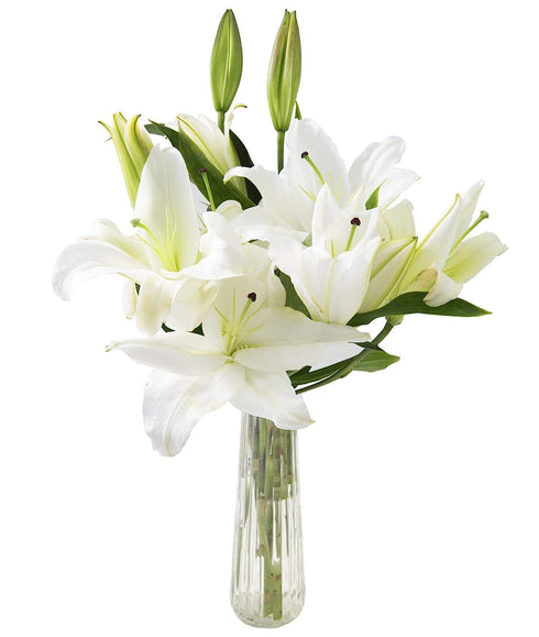 KaBloom - Serene Remembrance Bouquet of 5 White Oriental Lily With Vase