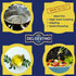 1 Del Destino Pomace Oil, Milder Olive Taste, Product of Italy - Gallon Tin