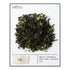 Smith Teamaker Fez Blend No. 39, Full Leaf Green Tea, 1.3 Oz, 15 Bags