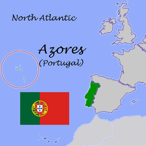A's do Mar (Pack 3), 7.05 oz , Solid Tuna in Olive Oil of Imported from Portugal, (each)