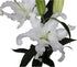 10 stems giant white lilies Fresh Flower Bouquet Gifts for Birthday Anniversary Friendship and Love