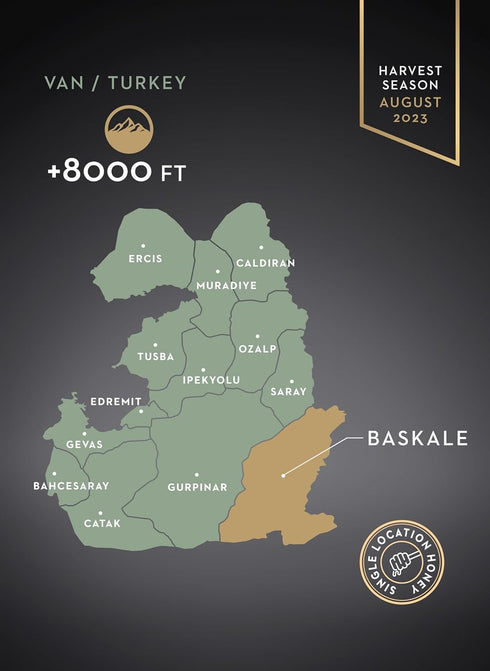 400 9.87 Oz (280 (Pack 1) Garisar Premium Single Location Wild Rue Honey | Pure Natural Honey Rich in Proline (over
