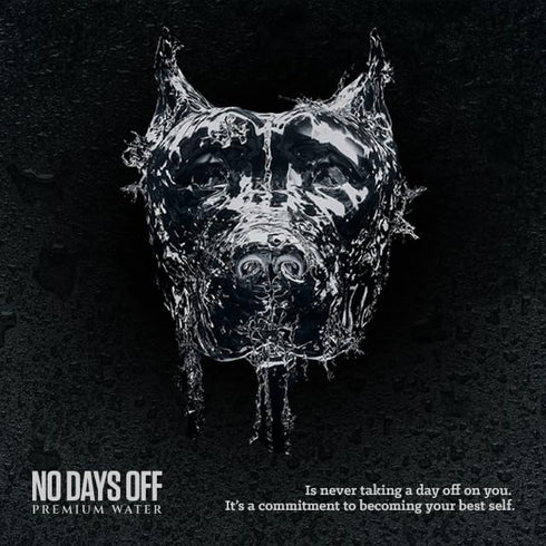 12 Pack, 16 oz Sourced-Filled-Packaged, NO DAYS OFF Premium Sparkling Water+ Limited FREEDOM Edition - fl Can