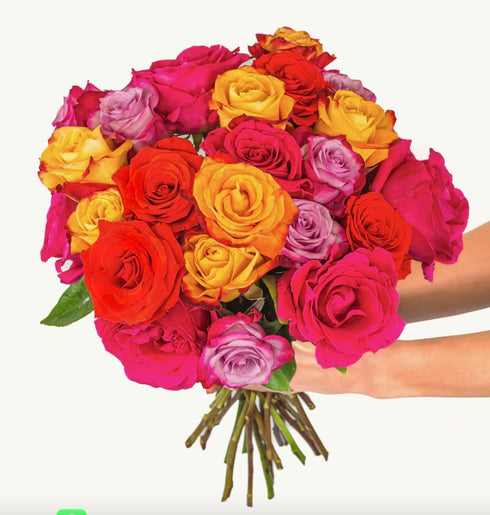 Dozen 25 BloomsyBox MultiColored Real Roses Bouquet - Two Rainbow Roses, Long Stems, Long Lasting & Hand-Tied Flower