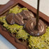 2 Set DIY Dubai Pistachio Chocolate Bar Making Kit (Makes Bars) Pistachio Butter, Knafeh/Phyllo Dough, Chocolate