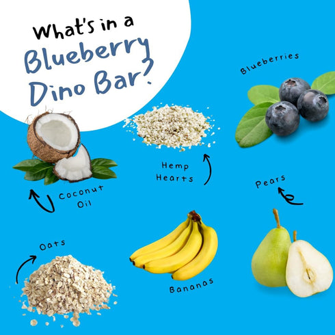 (12 Pack Dino Bars | Organic Fruit Bar for Kids | Organic Toddler Bars and Dinosaur Snacks | Fruit + Oats + Hemp Hearts