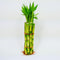 Athena's Garden Bamboo Stalks with Shoots, 10"