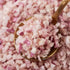 UpBots 3.52 oz. Freeze-dried red onion a fresh red onion substitute, cooking seasoning, salad ingredient, soup