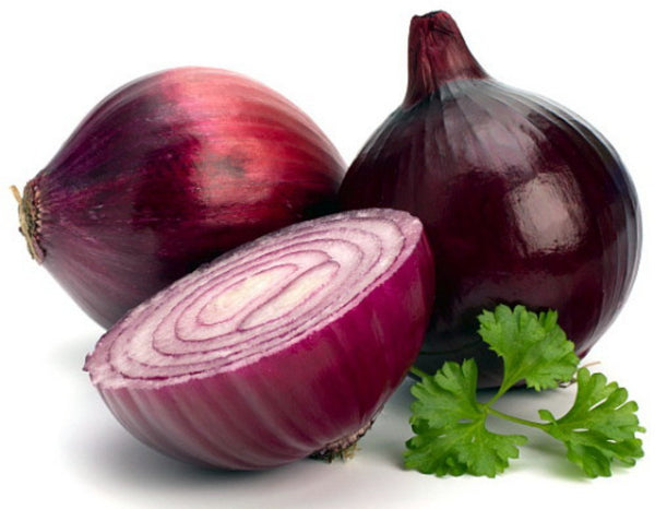 Red Onion Sets - 75 Bulbs - Mild Flavor
