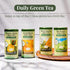 50 The Republic of Tea Pineapple Ginger Daily Green Tea, Tea Bag Tin