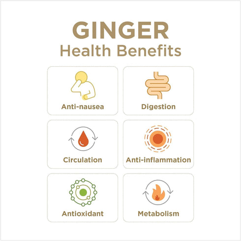 6.7 oz (Pack 1) The Ginger People Organic Minced Ginger, No Artificial Ingredients