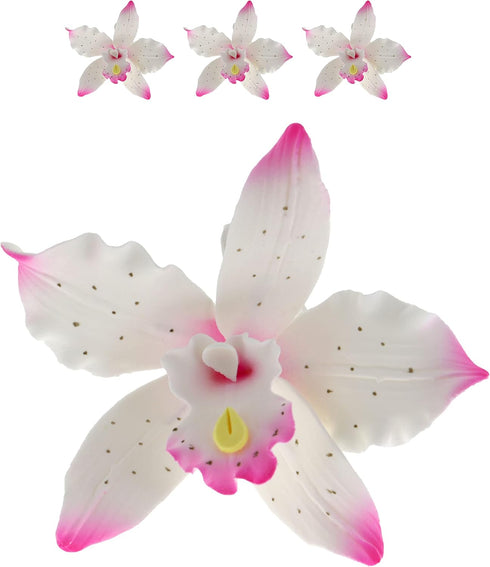 3 Count Global Sugar Art Brassavolaelio Orchid Sugar Cake Flowers, White with Pink, by Chef Alan Tetreault