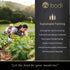 6 35g bodi : Mochi Peanut Butter pieces of | Handmade Natural Ingredient