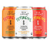 Modern Mexican Soda | 6 Pack | 3 Flavor | Organic |