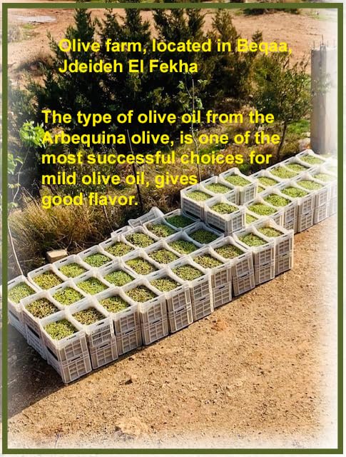 500 ML C Bio Jaoude Organic Extra Virgin Award Winning Olive Oil Imported from Lebanon