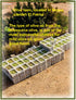 500 ML C Bio Jaoude Organic Extra Virgin Award Winning Olive Oil Imported from Lebanon