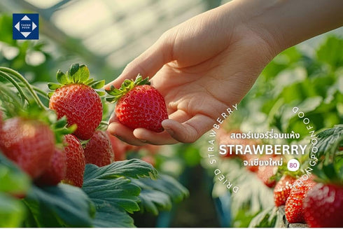 10.5OZ (300gram) (Pack 3) Natural Dried Strawberry Premium Quality, Soft & Chewy, Naturally Sweet & Sour, Gluten-Free