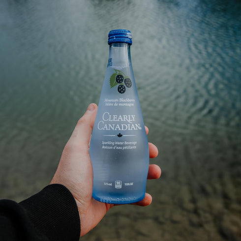 4 pack (2 2 Clearly Canadian Sparkling Water Blackberry, Cherry)